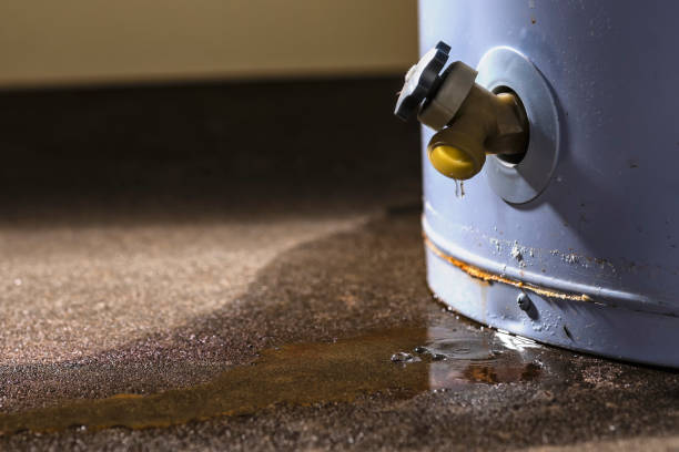  Edgewood, WA Water damage restoration Pros