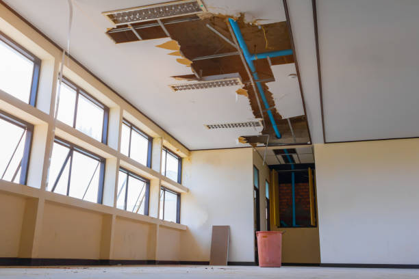Best Flooded house restoration  in Edgewood, WA