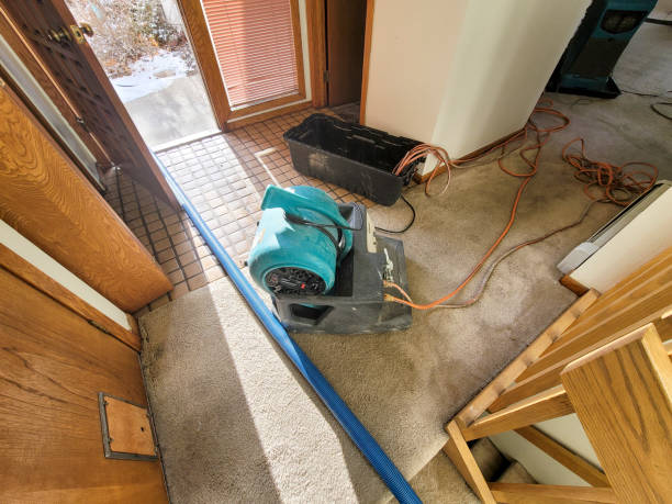 Best 24-hour water damage restoration  in Edgewood, WA