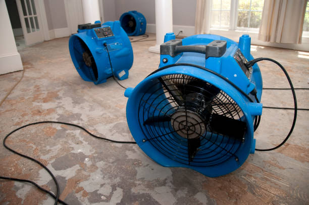  Edgewood, WA Water damage restoration Pros