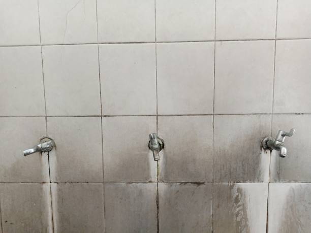 Best Commercial water damage restoration  in Edgewood, WA