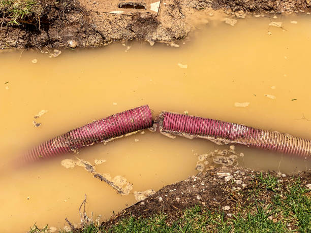 Best Emergency water extraction  in Edgewood, WA