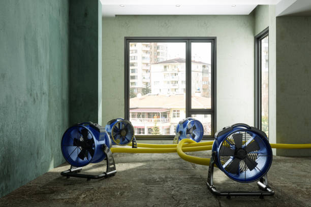 Best Ceiling water damage repair  in Edgewood, WA