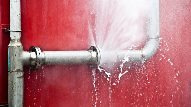 Best Sewage cleanup and water damage restoration  in Edgewood, WA